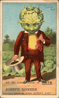 A cabbage-head in an advert