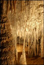 A public cave in Tasmania