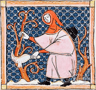Medieval peasant trimming vines